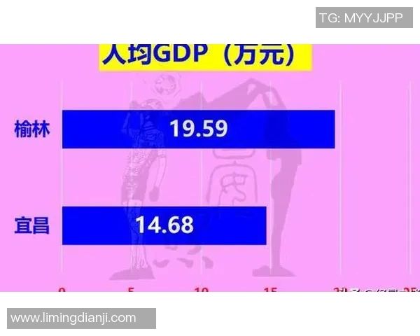 体育实时数据重庆篮球队在精英赛积分榜上以55分稳居第一展现强劲实力