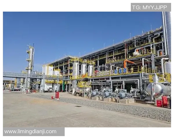 实时新闻全球挑战赛评析LNG在耐力赛中的卓越表现与未来展望